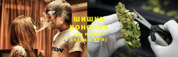 сатива Зерноград