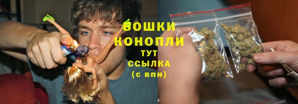 сатива Зерноград