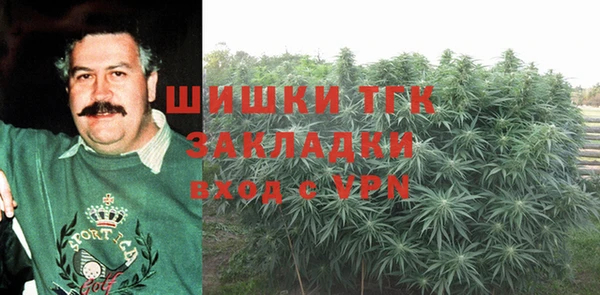 сатива Зерноград
