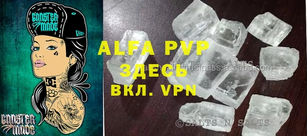 сатива Зерноград