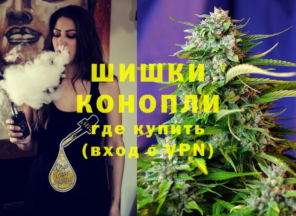 шишки Зеленодольск