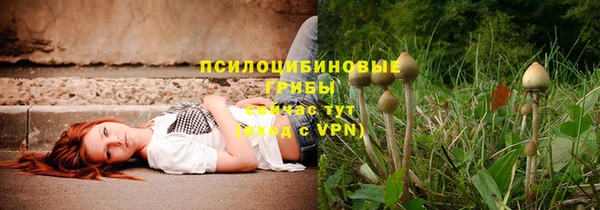 ГАЛЛЮЦИНОГЕННЫЕ ГРИБЫ Россошь