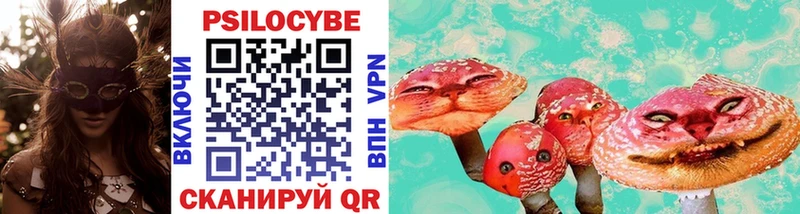 kraken маркетплейс  Сосенский  Псилоцибиновые грибы прущие грибы 